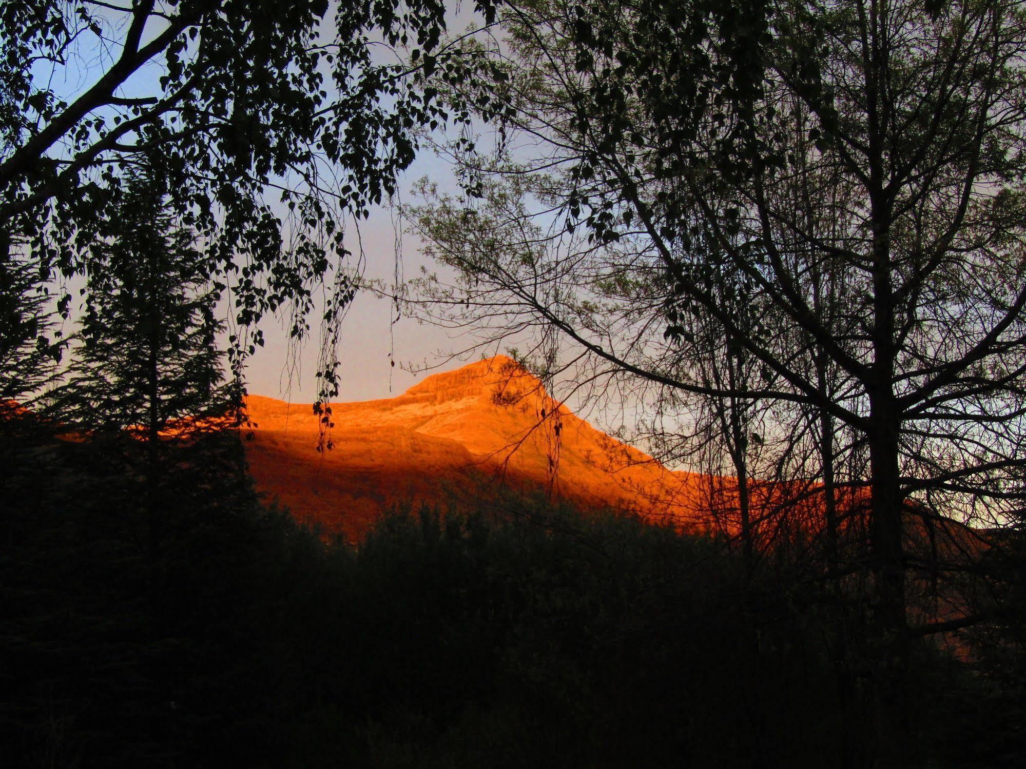 Woodlands Retreat Hotel Clarens Buitenkant foto