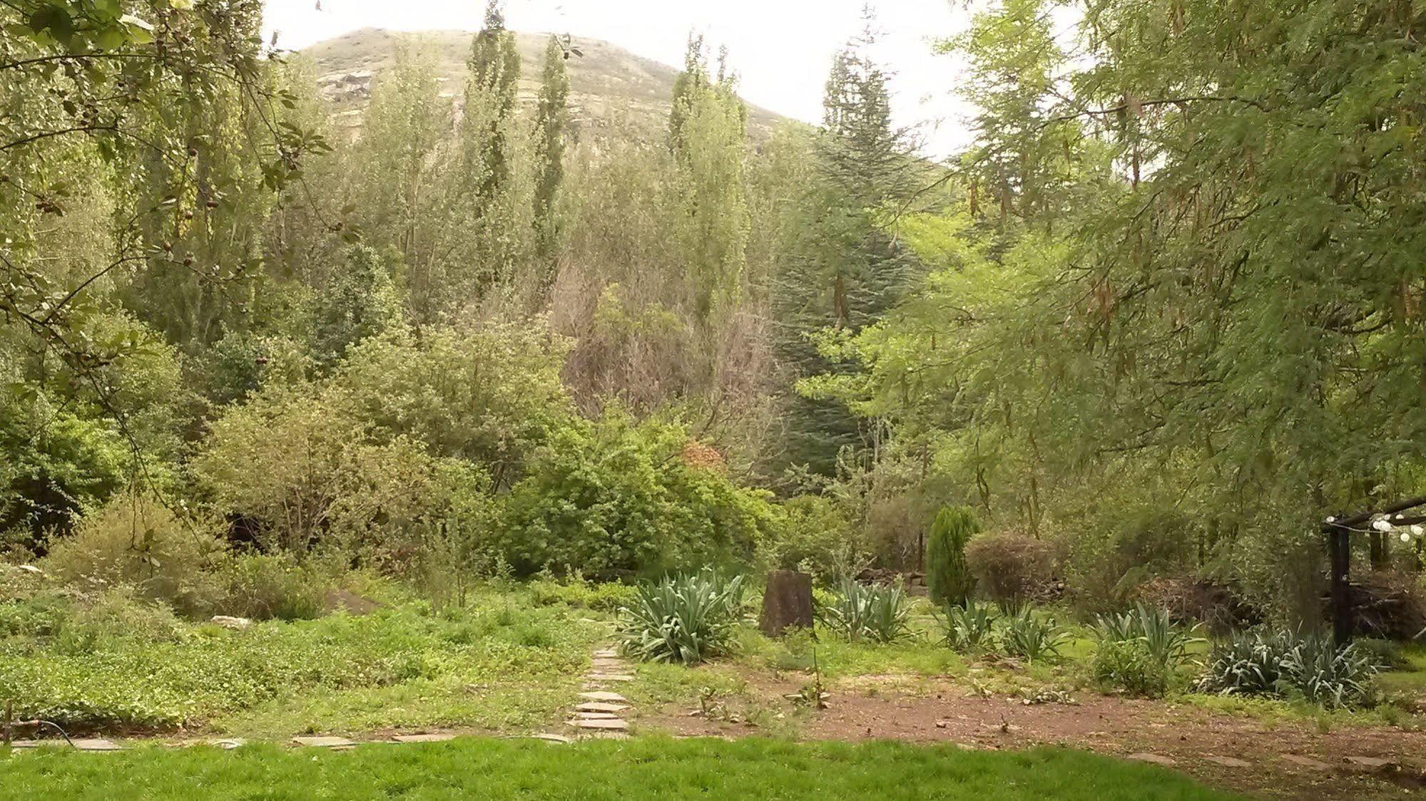 Woodlands Retreat Hotel Clarens Buitenkant foto